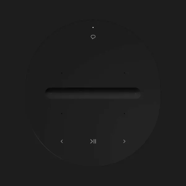 Акустична система Sonos ERA 100 (Black)
