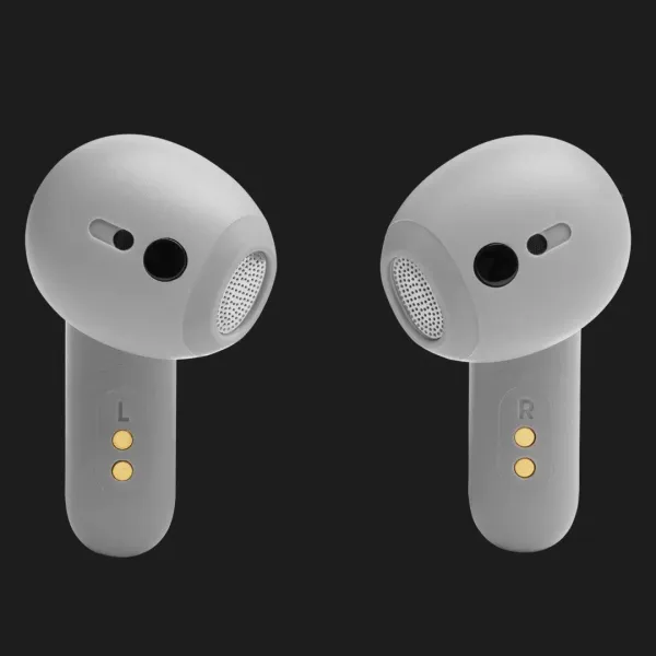 Навушники JBL Live Flex (Silver)