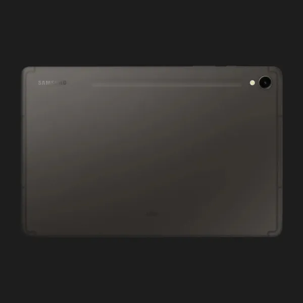 Планшет Samsung Galaxy Tab S9 12/256GB Wi-Fi (Graphite) (Standard)