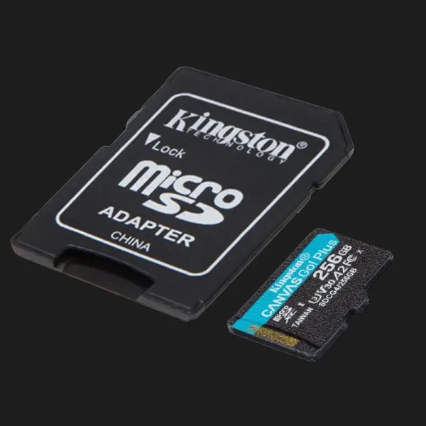 Карта пам'яті Kingston Canvas Go Plus Micro SDXC 256GB (SDCG4/256GB)