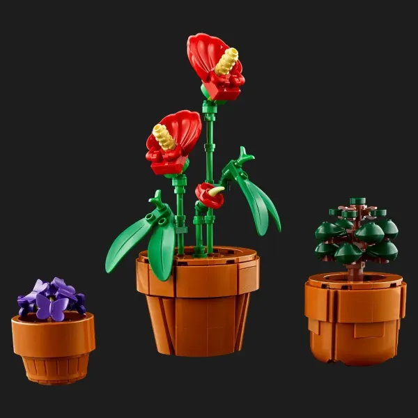 Конструктор LEGO Botanicals Мініатюрні рослини (10329)