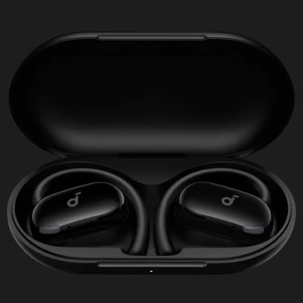 Навушники ANKER SoundСore V20i (Black)